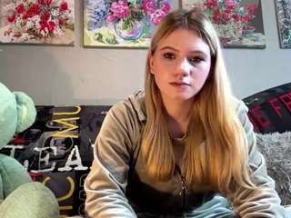 Clemmieklassen