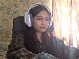Neelystonesifer