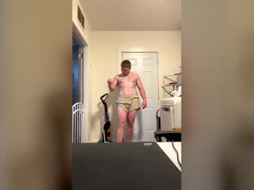 Americanstalion