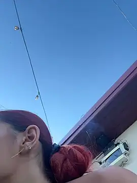 Vixenrosse